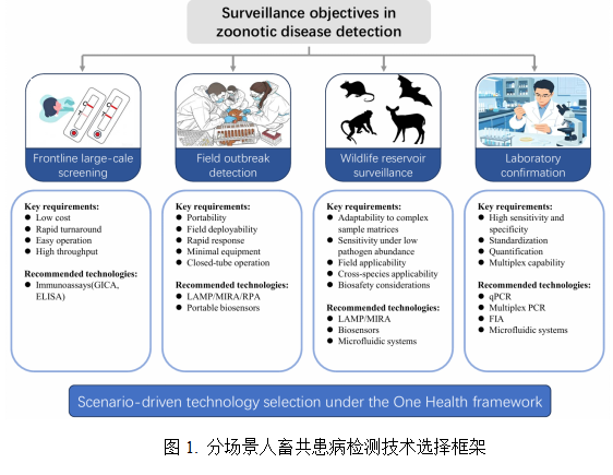 有害动物监测与防控研究中心团队在人畜共患病快速检测技术领域取得新进展